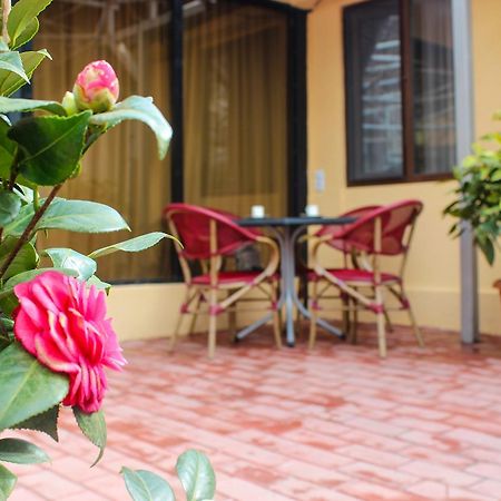 Lasha Apartment Tbilisi Ngoại thất bức ảnh